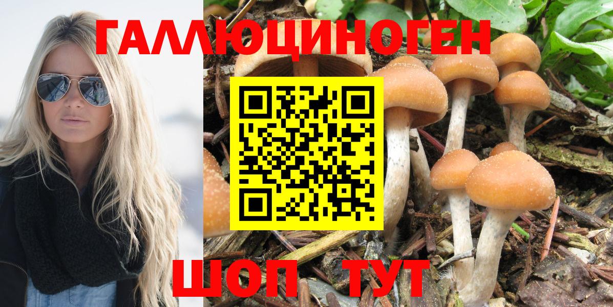 Псилоцибиновые грибы MAGIC MUSHROOMS  Галлюциногенные грибы мухоморы  Вход с VPN  Заводоуковск 